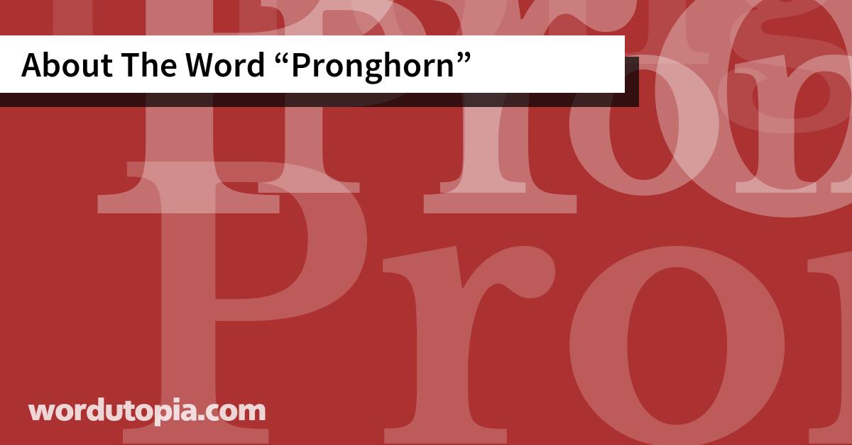About The Word Pronghorn