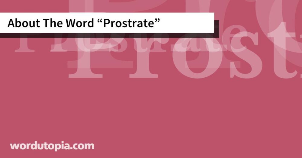 About The Word Prostrate