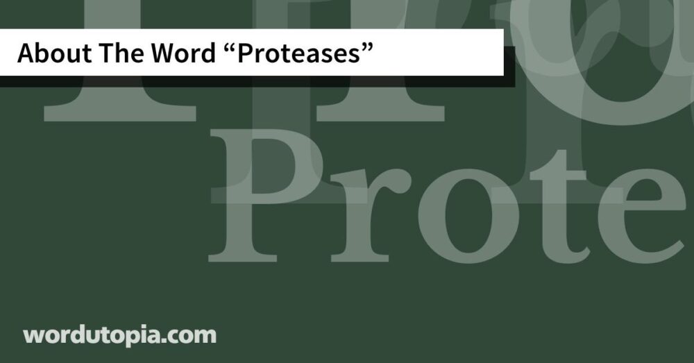 About The Word Proteases