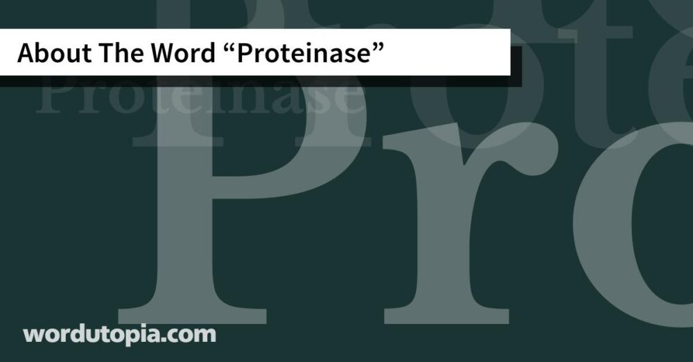 About The Word Proteinase