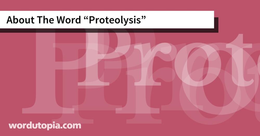 About The Word Proteolysis