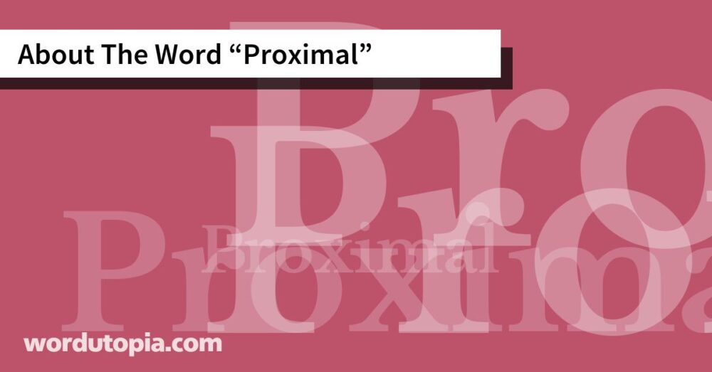About The Word Proximal