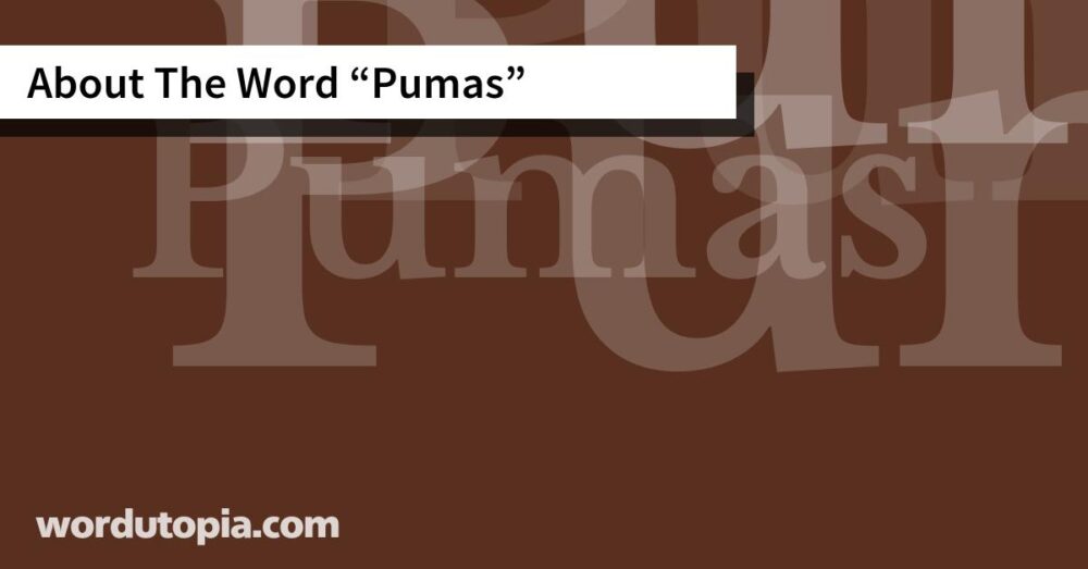 About The Word Pumas