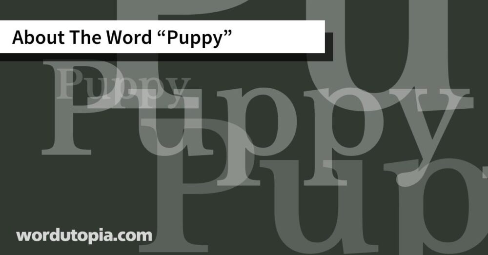 About The Word Puppy