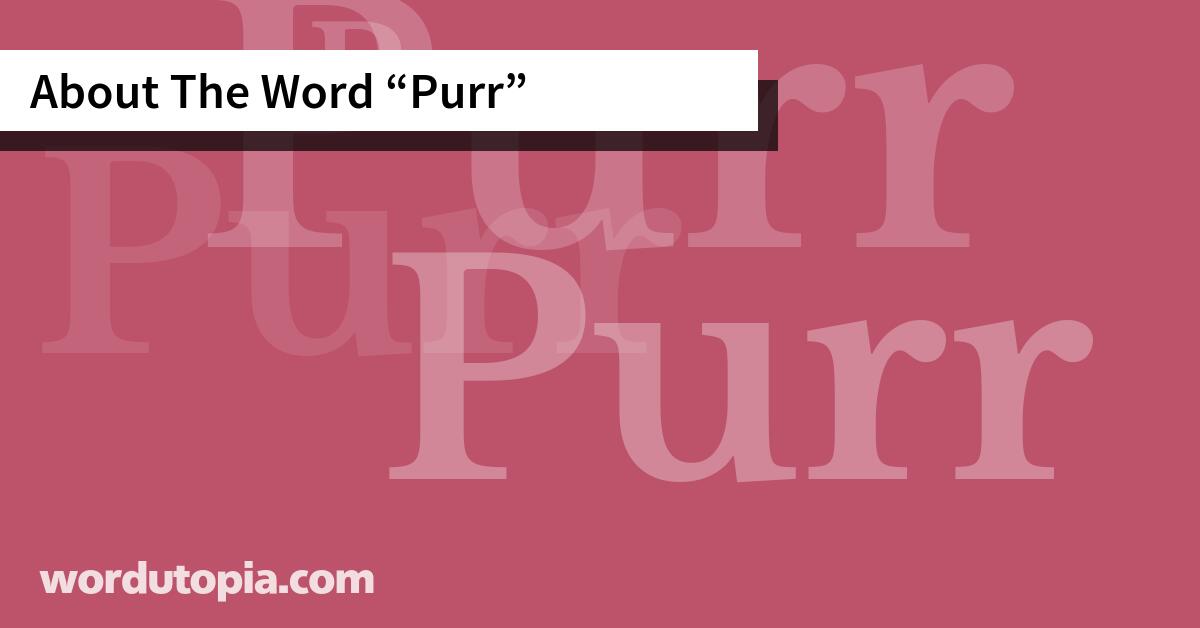 About The Word Purr