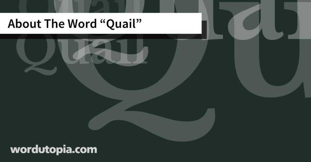 About The Word Quail