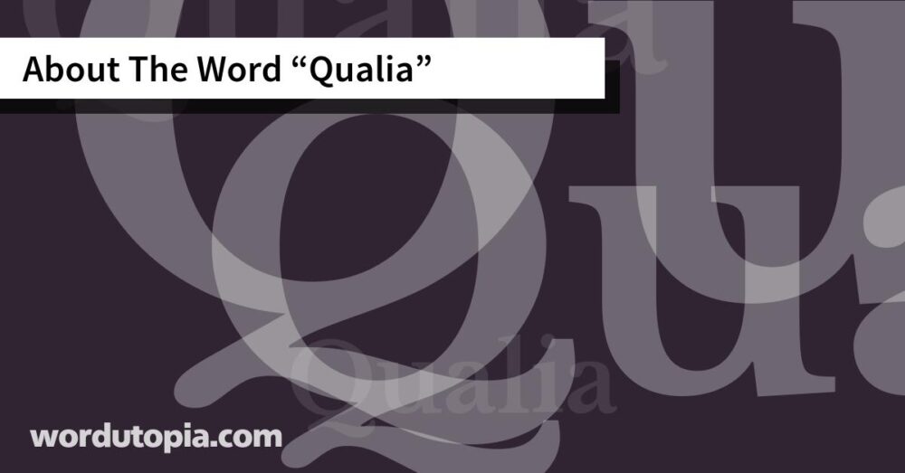 About The Word Qualia