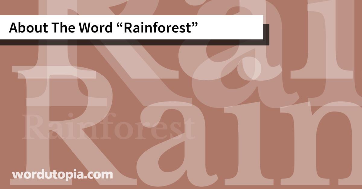 About The Word Rainforest