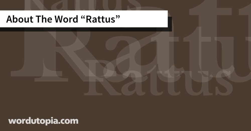 About The Word Rattus