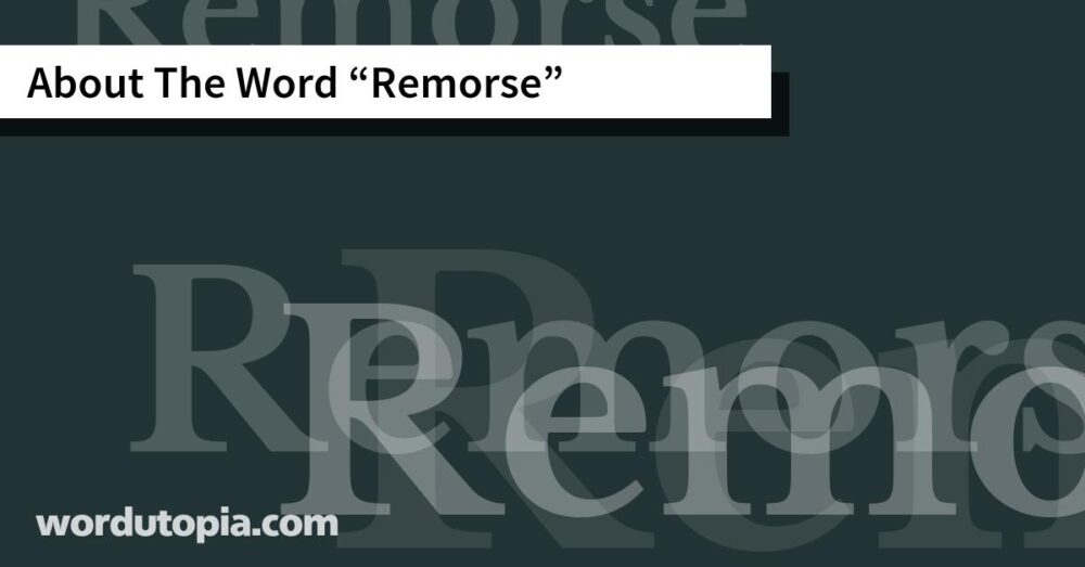 About The Word Remorse