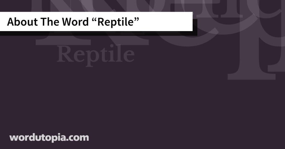 About The Word Reptile