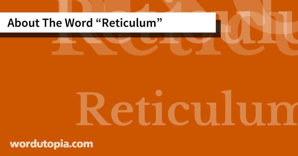 About The Word Reticulum