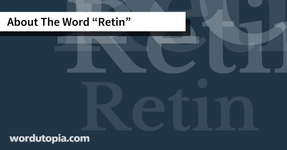 About The Word Retin