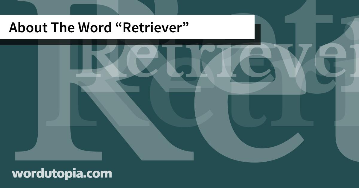 About The Word Retriever