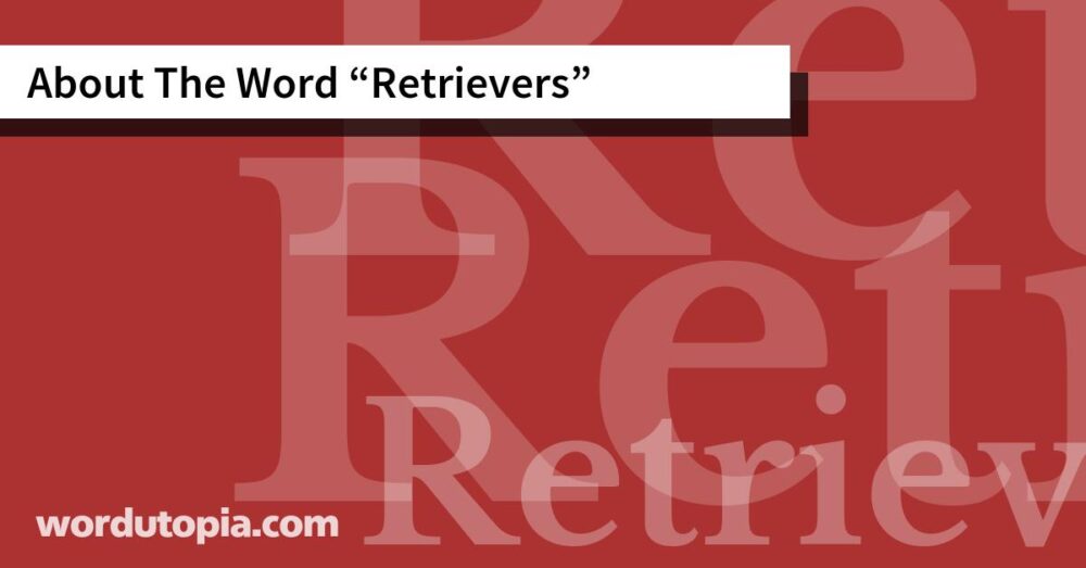 About The Word Retrievers