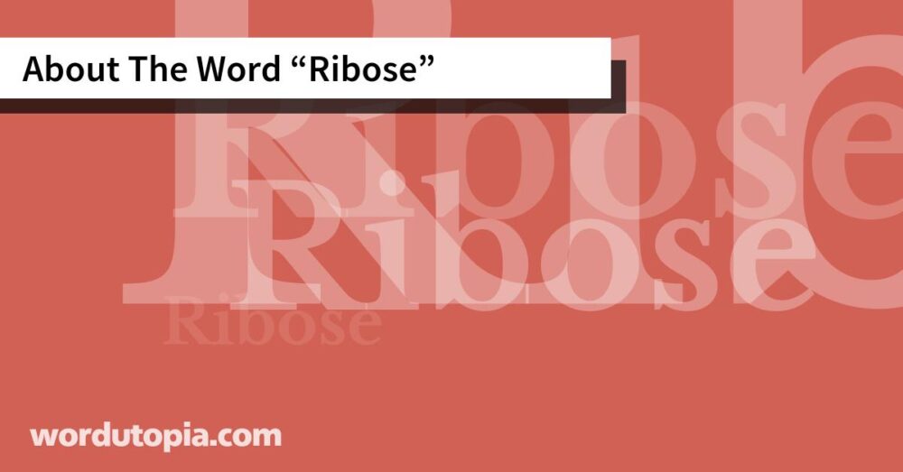 About The Word Ribose
