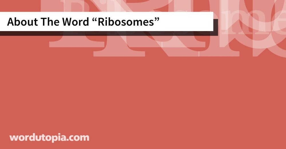 About The Word Ribosomes