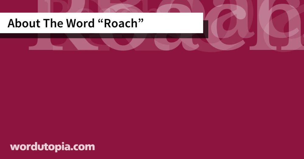 About The Word Roach