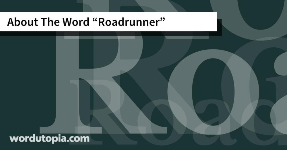 About The Word Roadrunner