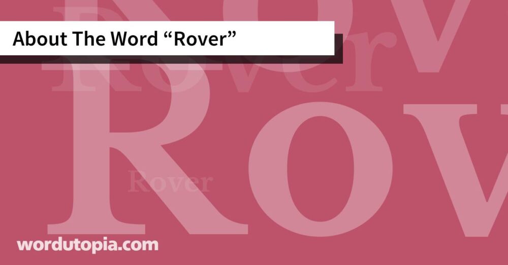 About The Word Rover