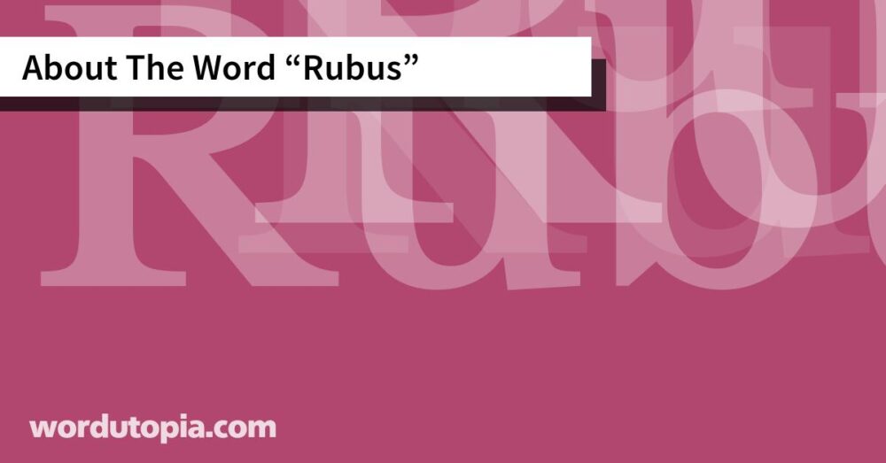 About The Word Rubus