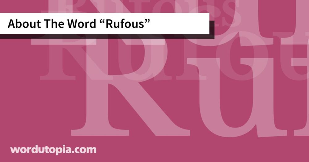 About The Word Rufous