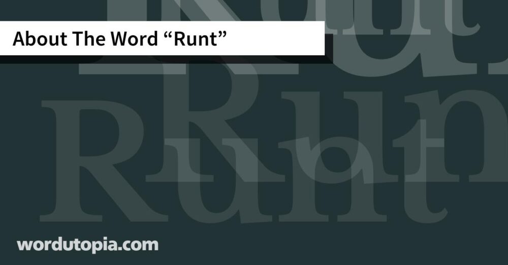 About The Word Runt