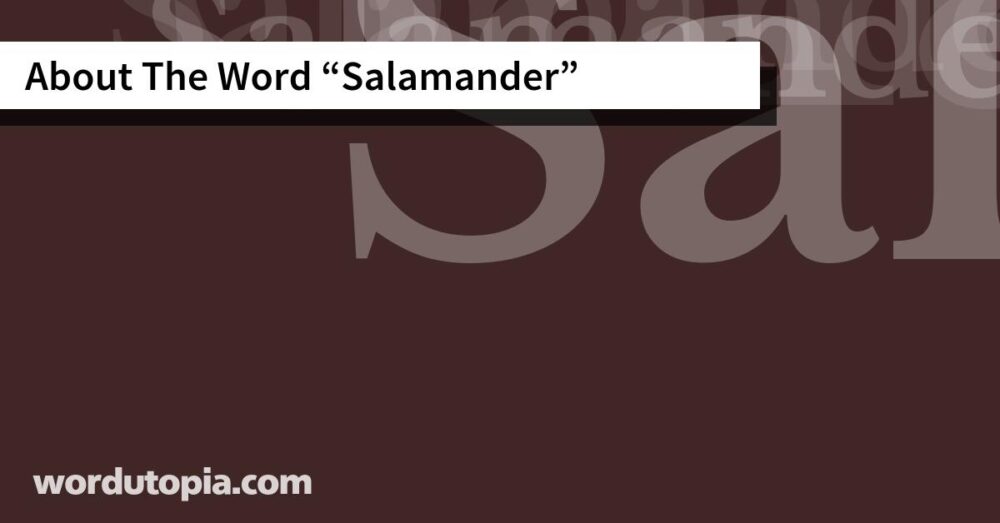 About The Word Salamander