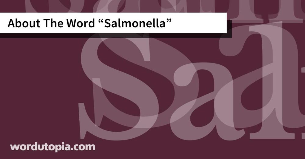 About The Word Salmonella