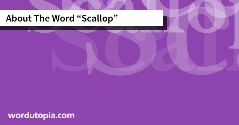 About The Word Scallop