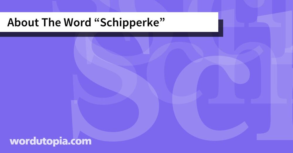 About The Word Schipperke