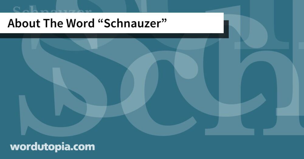 About The Word Schnauzer
