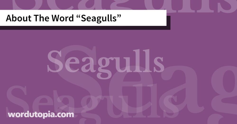 About The Word Seagulls
