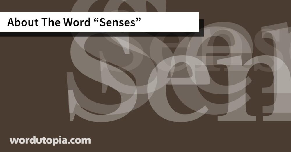 About The Word Senses