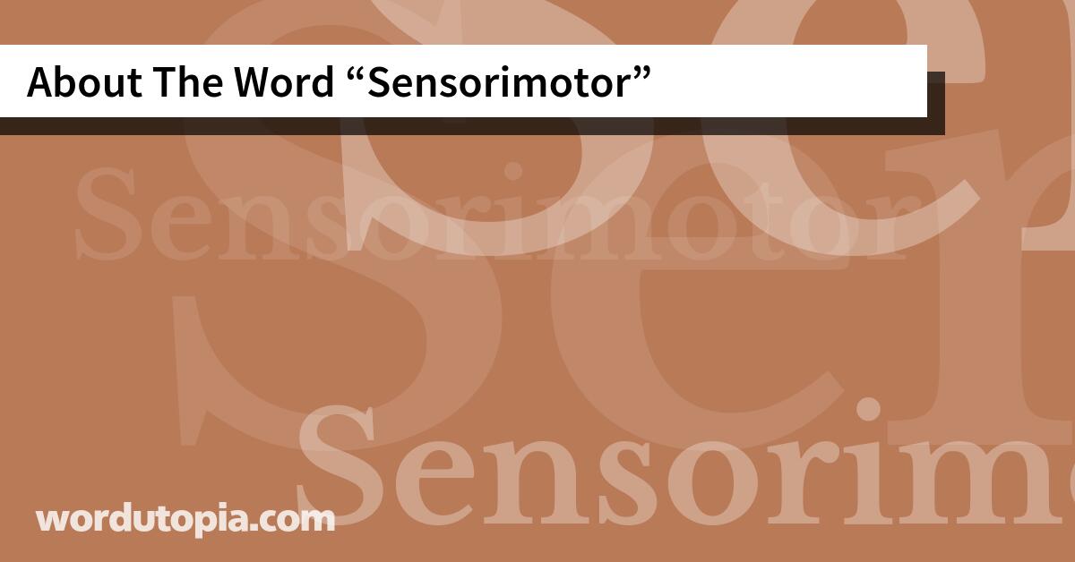 About The Word Sensorimotor