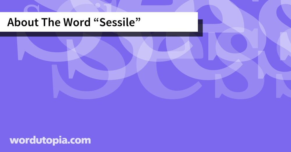About The Word Sessile