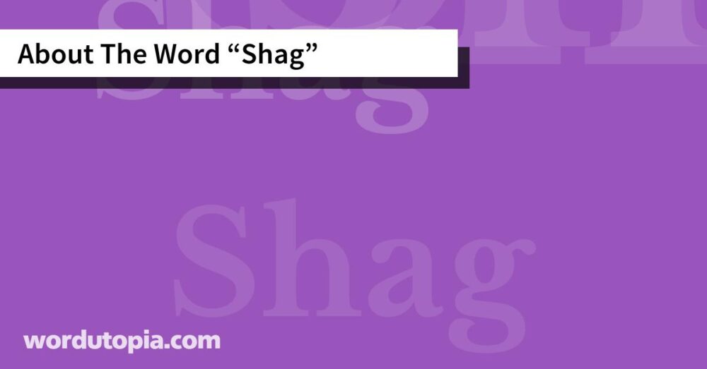 About The Word Shag