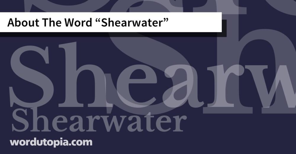 About The Word Shearwater