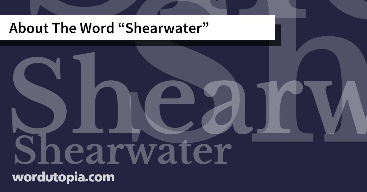 About The Word Shearwater