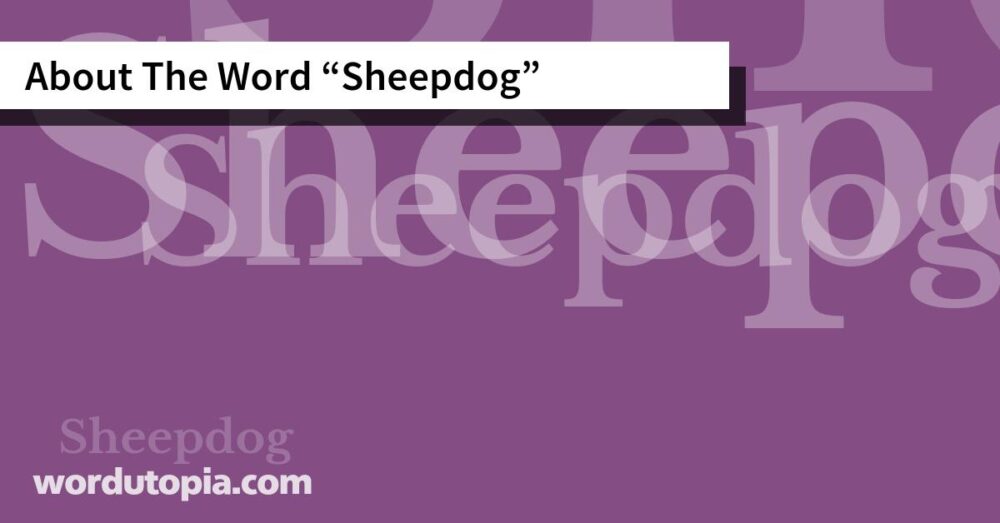 About The Word Sheepdog