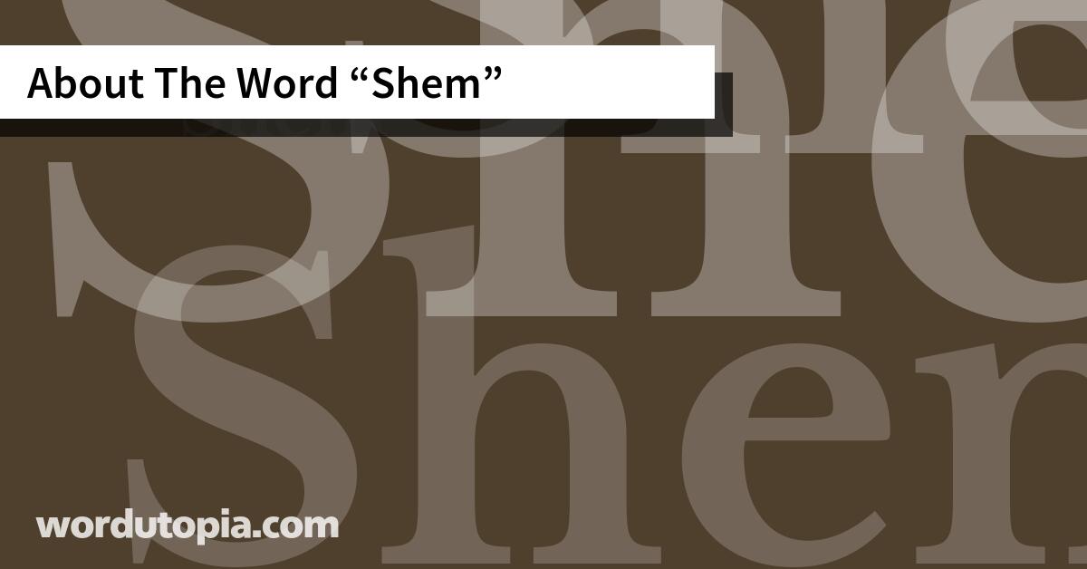 About The Word Shem