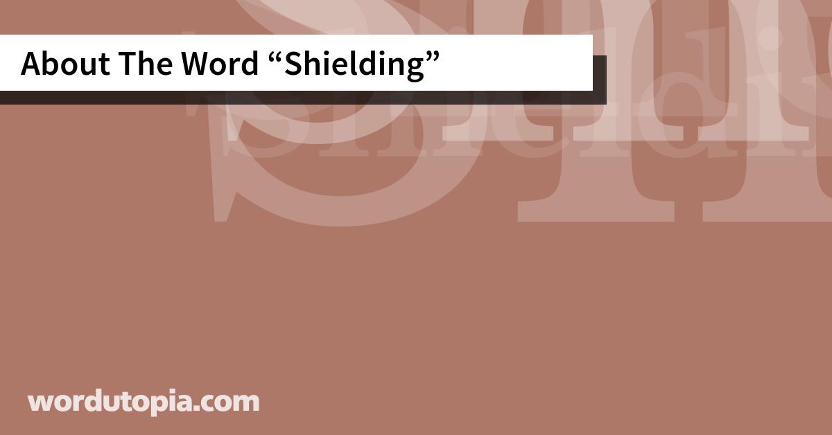 About The Word Shielding