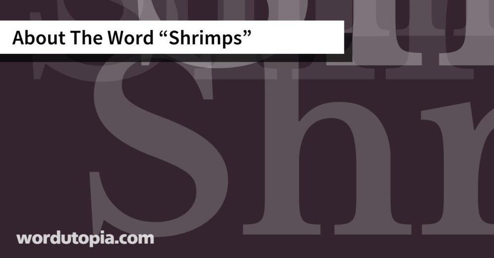 About The Word Shrimps