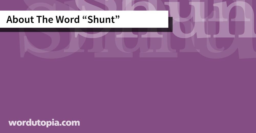 About The Word Shunt