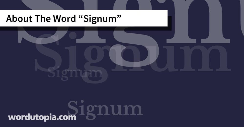 About The Word Signum