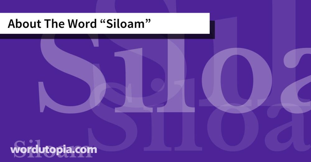 About The Word Siloam