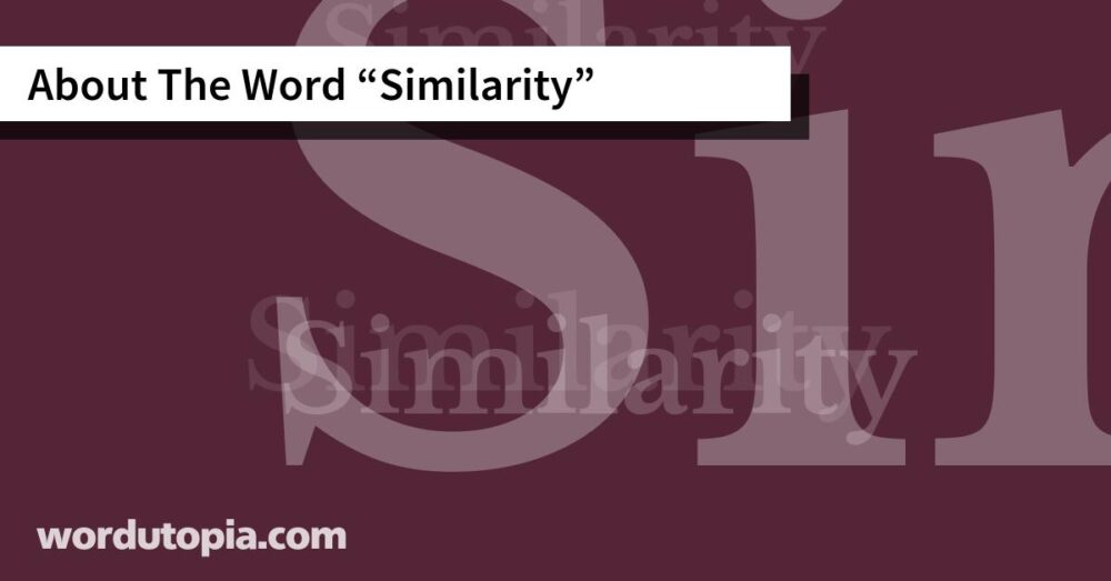 About The Word Similarity