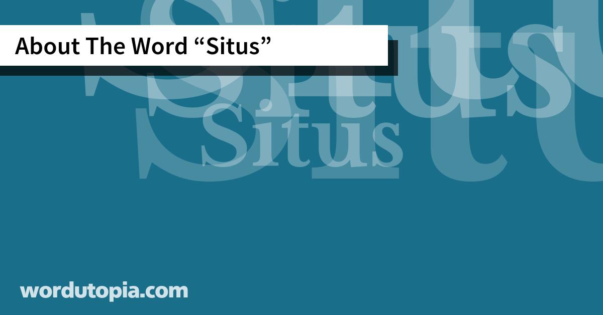 About The Word Situs
