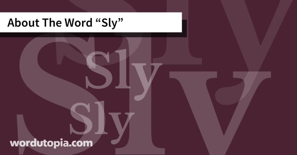 About The Word Sly