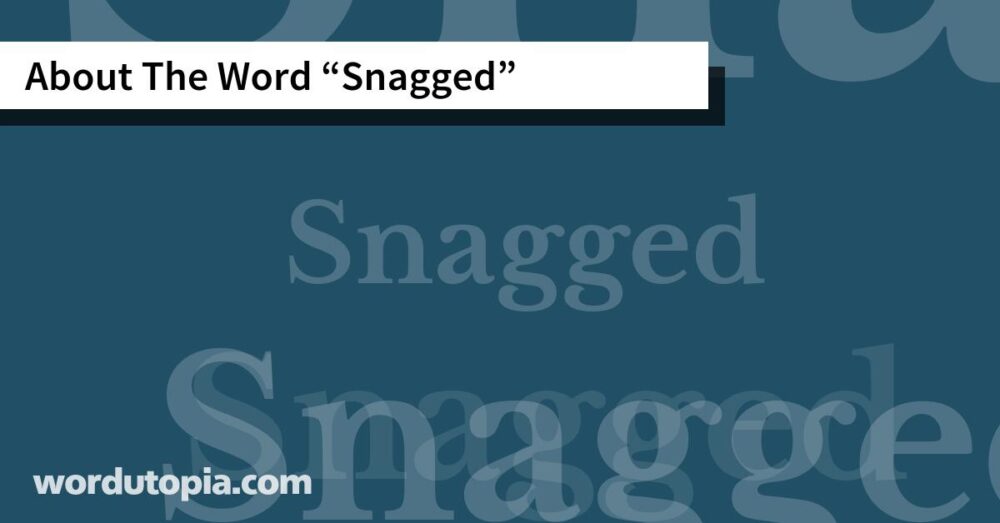 About The Word Snagged